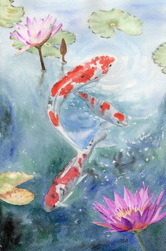 Koi