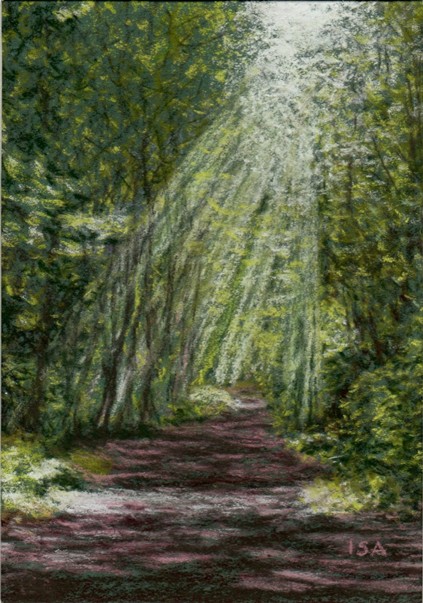 Forest Path