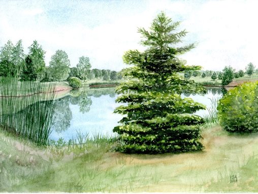 Lake Tree
