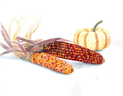Indian Corn