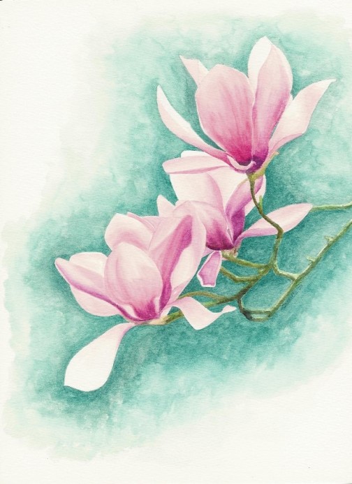 Magnolia Branch