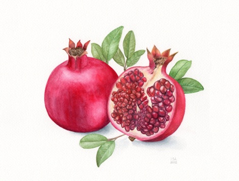 Pomegranate