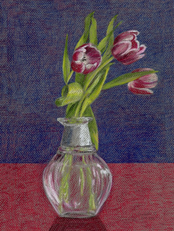 Red Tulips on Blue