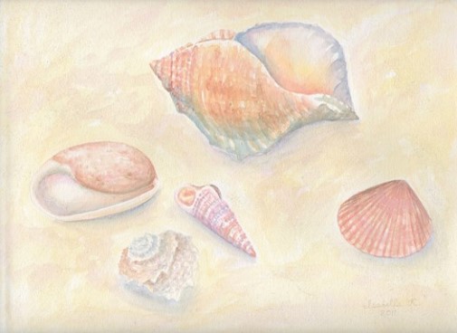 Seashells